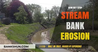 Effective Strategies to Prevent Stream Bank Erosion and Protect Waterways