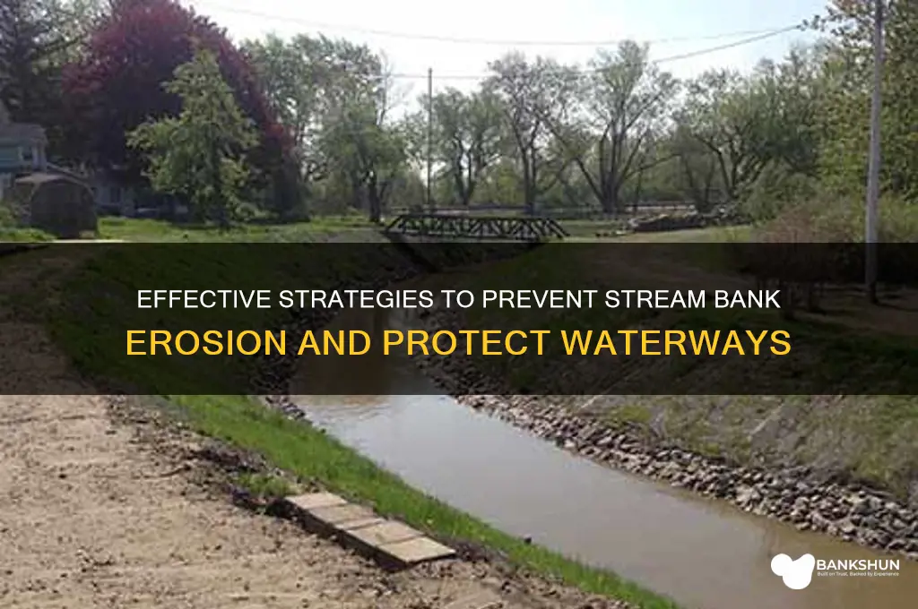 how do i stop stream bank erosion
