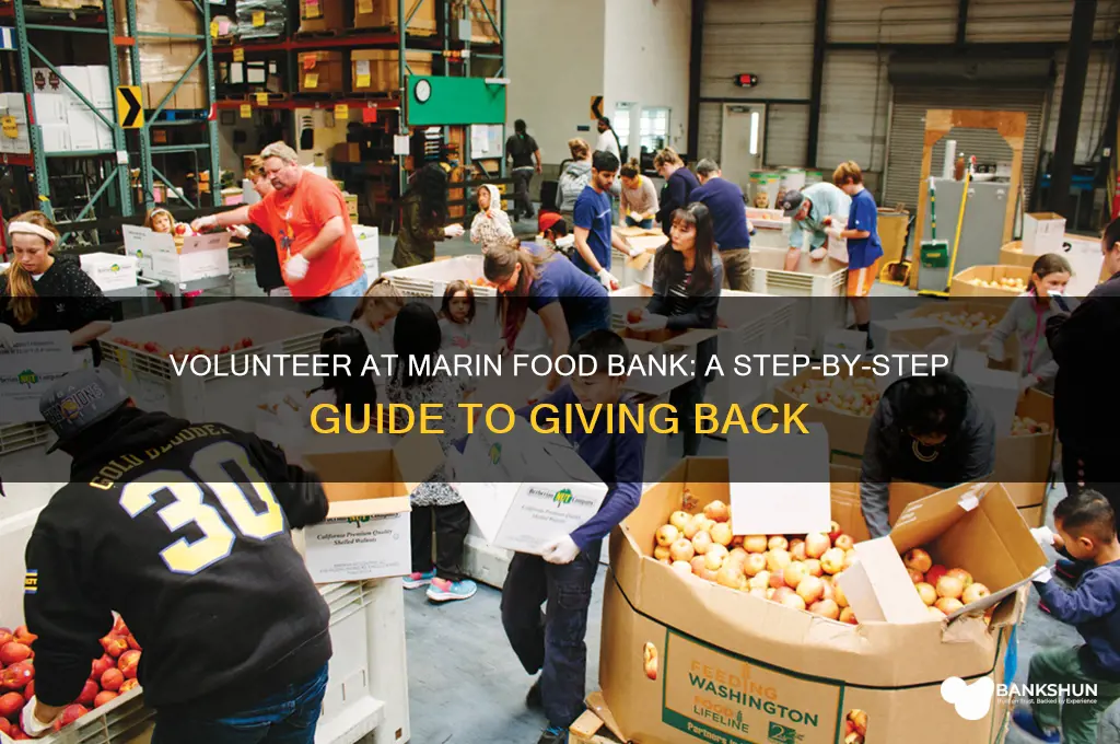 how do i volunteer marin food bank