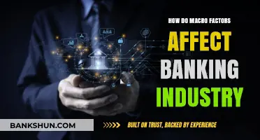 Macro Factors Shaping the Banking Industry: Trends, Challenges, and Opportunities