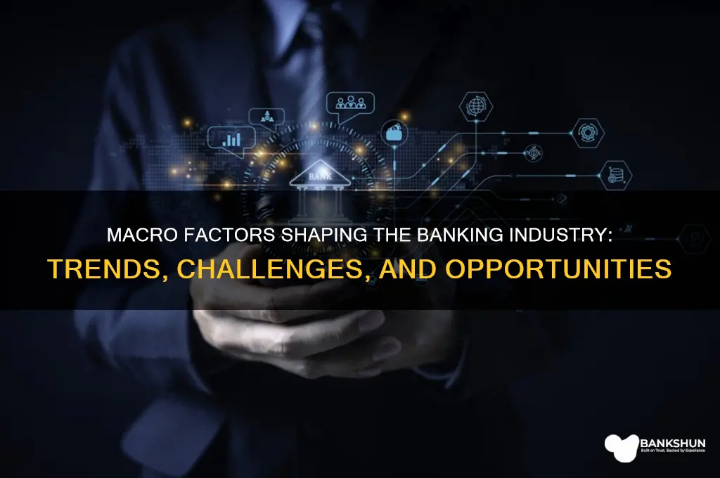 how do macro factors affect banking industry
