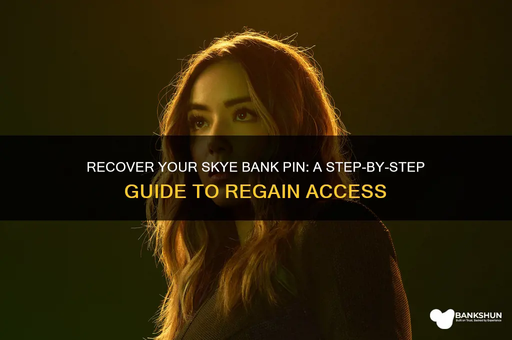 how do recover your skye bank pin