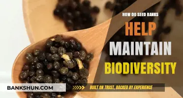 Seed Banks: Safeguarding Biodiversity for Future Generations and Ecosystems