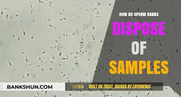 Sperm Bank Sample Disposal: Ethical Practices and Procedures Explained