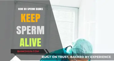 How Sperm Banks Preserve and Store Sperm for Future Use