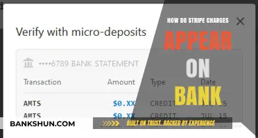 How Stripe Charges Show Up on Your Bank Statement Explained