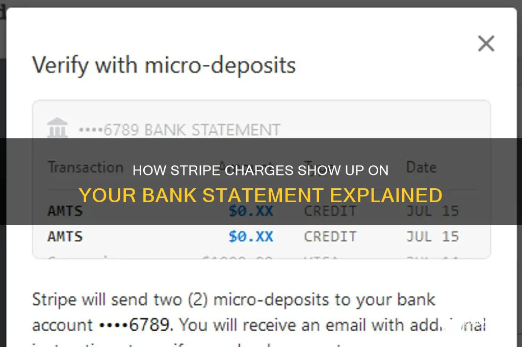 how do stripe charges appear on bank