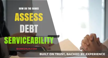 Understanding Bank Debt Serviceability Assessment: Key Factors and Criteria