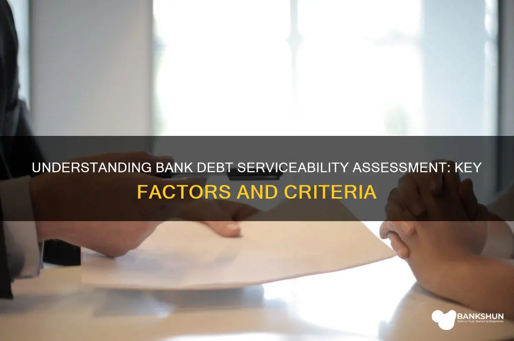 how do the banks assess debt serviceability