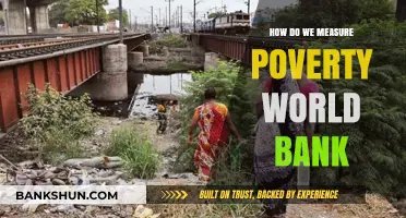 Understanding Poverty Metrics: World Bank's Methods to Measure Global Poverty