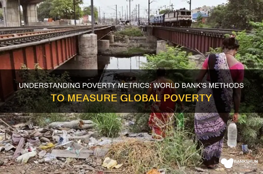 how do we measure poverty world bank