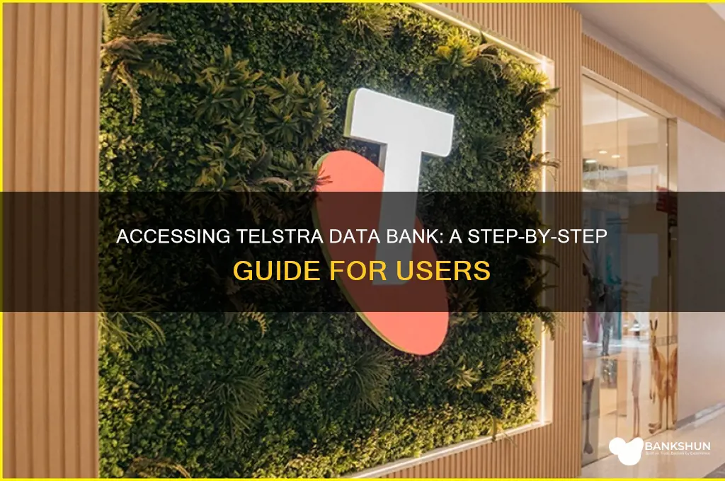 how do you access data bank telstra
