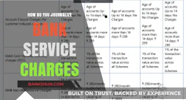 Journalizing Bank Service Charges: A Step-by-Step Accounting Guide