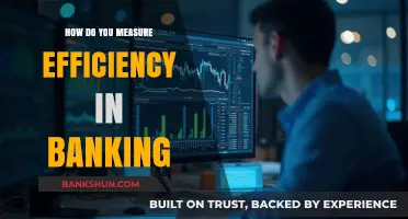 Measuring Banking Efficiency: Key Metrics and Strategies for Optimal Performance