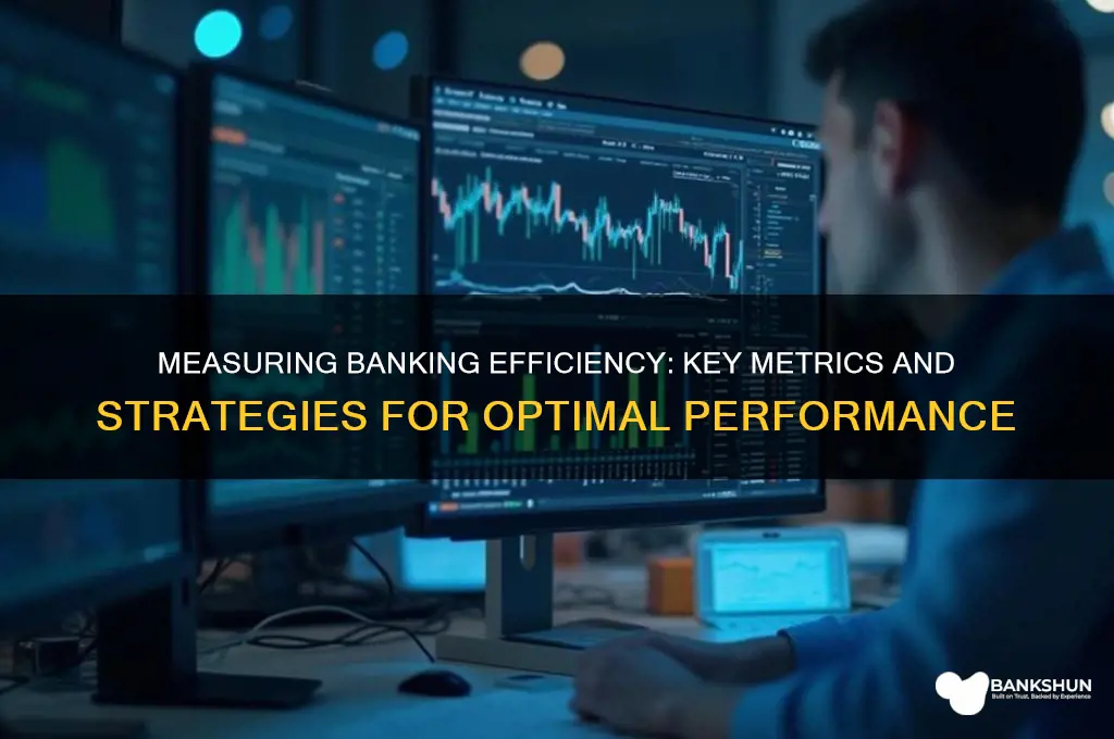 how do you measure efficiency in banking