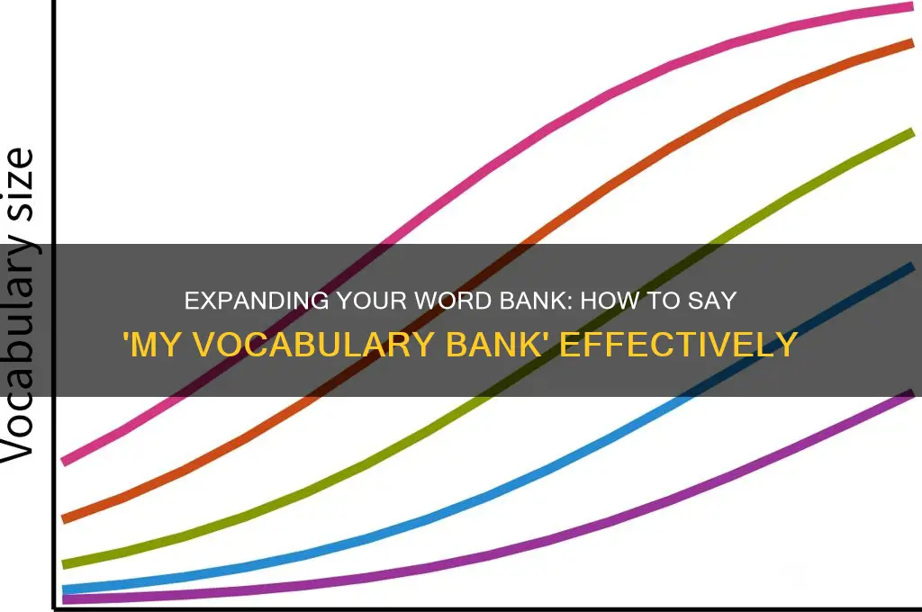 how do you say my vocabulary bank