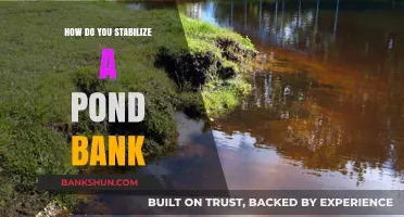 Effective Methods to Stabilize and Protect Your Pond Bank