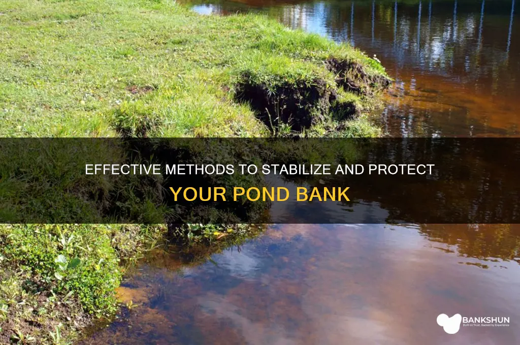 how do you stabilize a pond bank