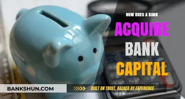 Understanding Bank Capital Acquisition: Strategies for Financial Institutions