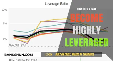 Understanding Bank Leverage: How Institutions Amplify Risk and Returns