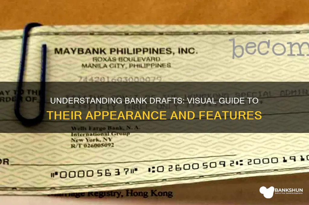 how does a bank draft look like