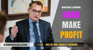 Central Bank Profits: Unveiling the Unique Revenue Generation Model