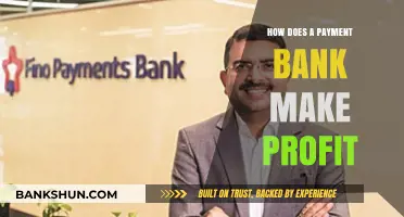 Understanding Payment Banks: Profit Strategies and Revenue Streams Explained