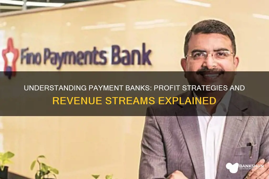 how does a payment bank make profit