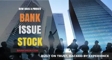 How Private Banks Issue Stock: A Comprehensive Guide to the Process