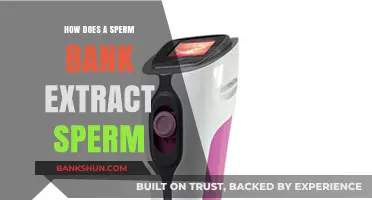 Understanding Sperm Donation: The Process of Sperm Extraction at Banks