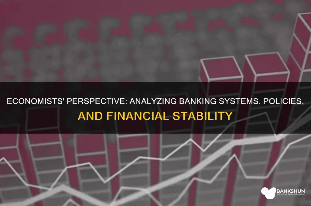 how does an economist look at banking