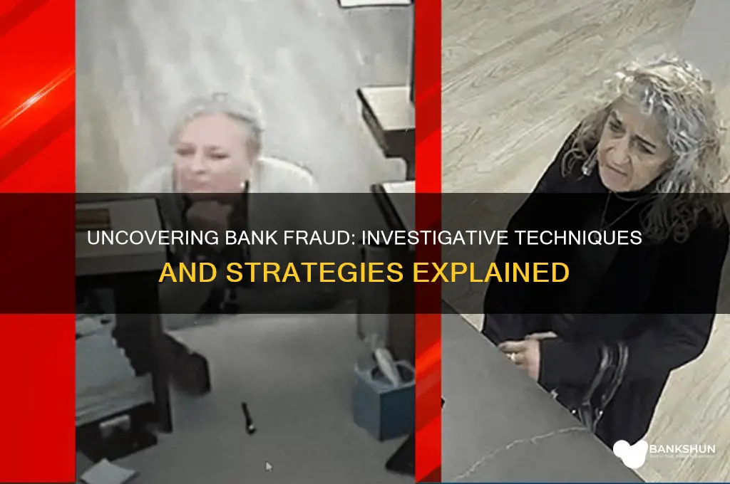 how does bank fraud department investigate fraud