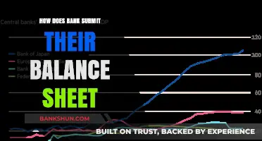 Understanding Bank Balance Sheet Submission: A Comprehensive Guide for Financial Institutions
