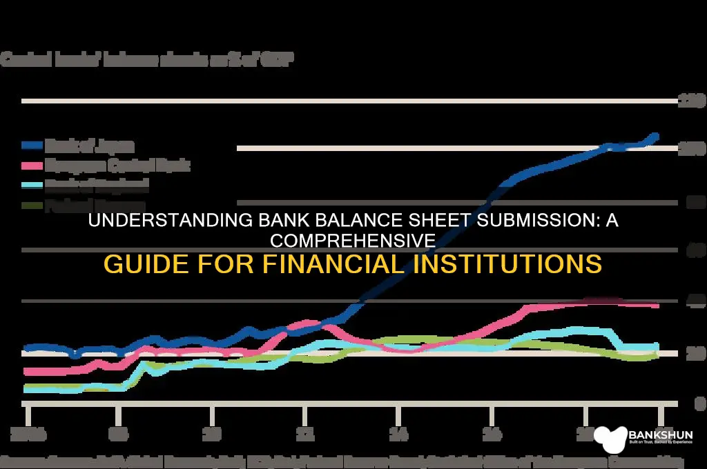 how does bank submit their balance sheet
