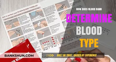 Understanding Blood Typing: How Blood Banks Determine Your Blood Type