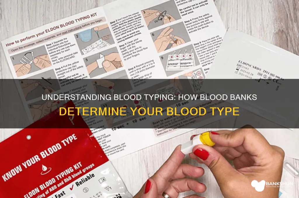 how does blood bank determine blood type