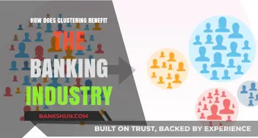 Clustering in Banking: Enhancing Efficiency, Risk Management, and Customer Insights