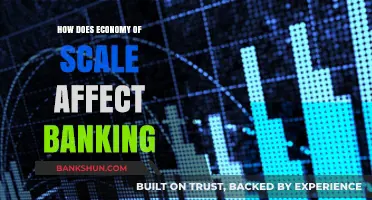 Economies of Scale in Banking: Impact on Efficiency and Profitability
