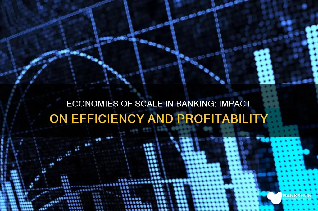 how does economy of scale affect banking