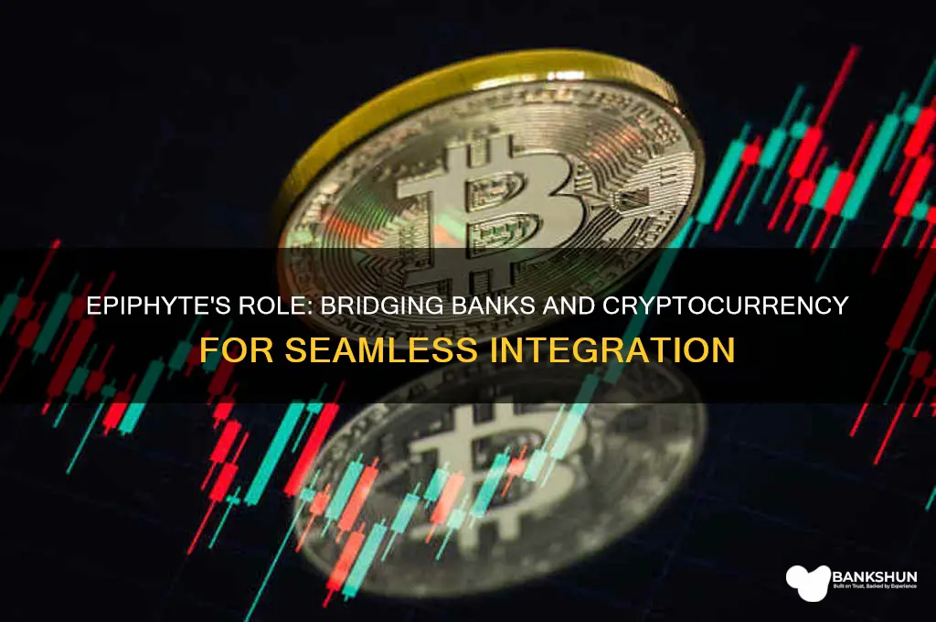 how does epiphyte connect banks to cryptocurrency