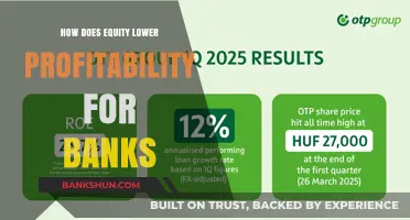 How Equity Dilutes Bank Profitability: A Comprehensive Analysis