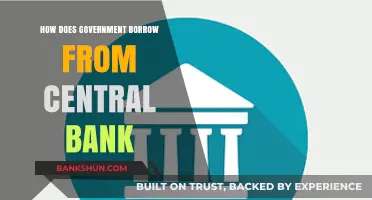 Understanding Government Borrowing: Central Bank Mechanisms and Monetary Policy