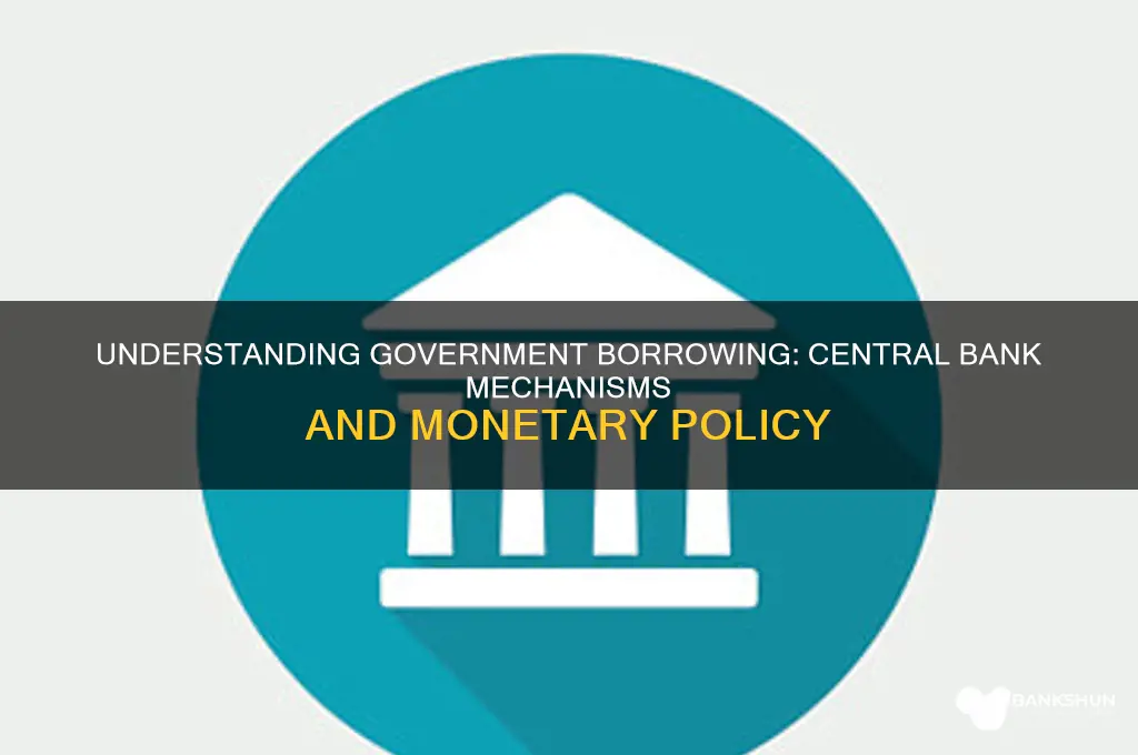 how does government borrow from central bank