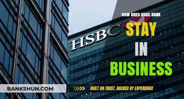 How HSBC Bank Sustains Profitability and Global Operations