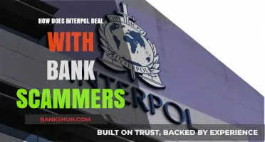 Interpol's Strategies to Combat Global Bank Scams and Fraud