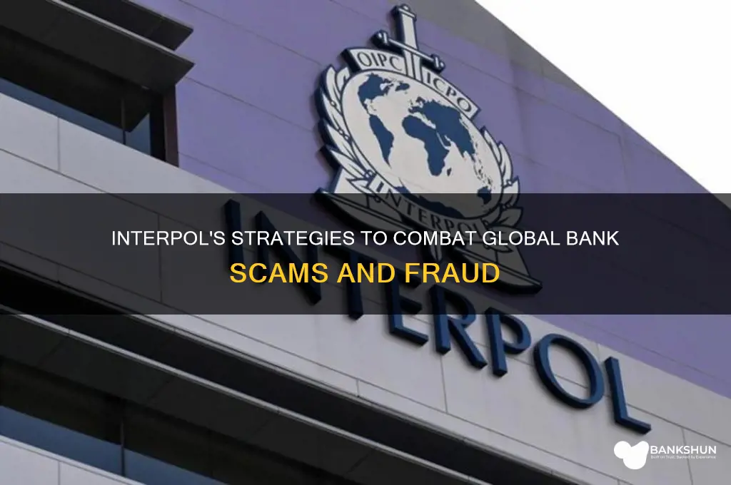 how does interpol deal with bank scammers
