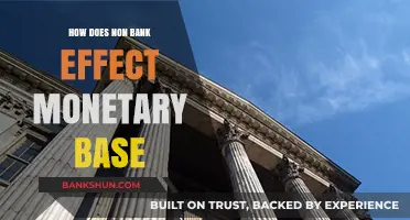 Non-Bank Entities: Their Impact on the Monetary Base Explained