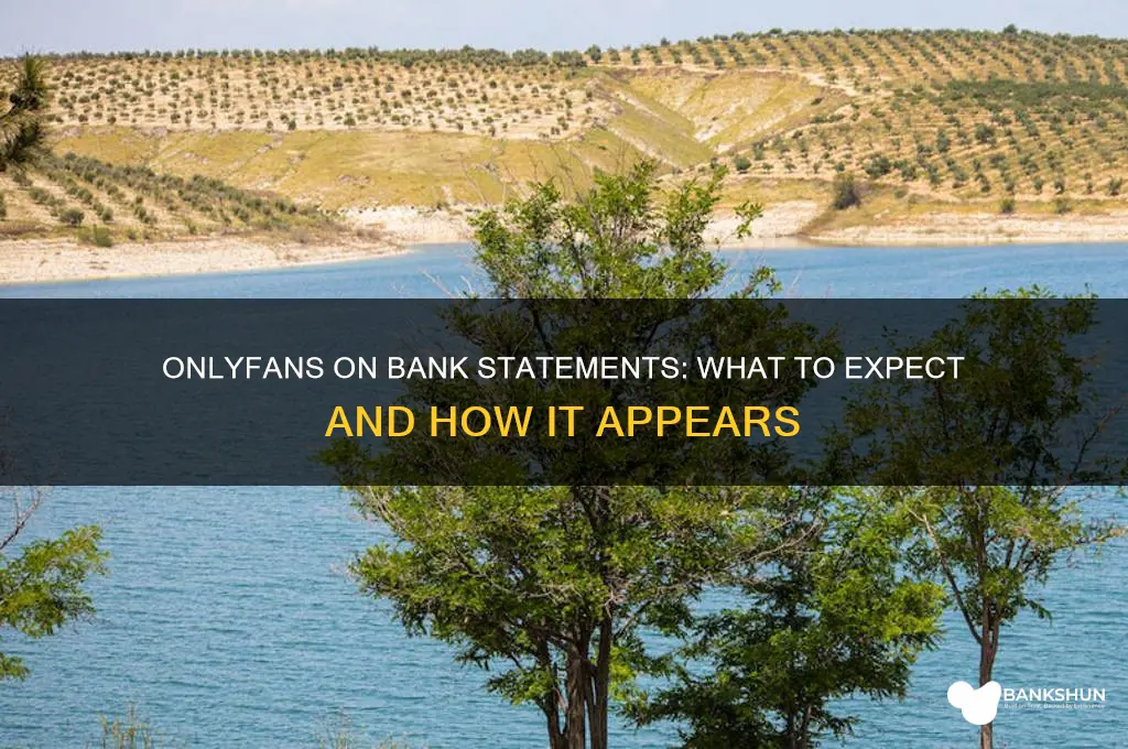 how does onlyfans show up on bank