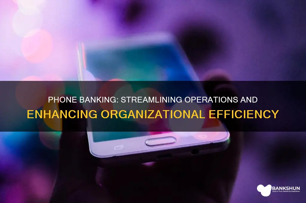 how does phone banking help an organization