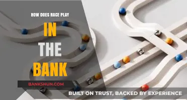 Race and Banking: Uncovering Biases in Financial Institutions